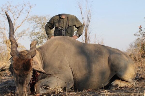 7 day - Spiral Horn (Zimbabwe)
