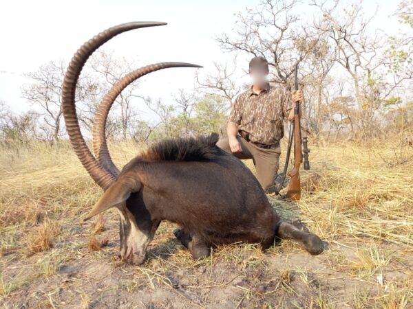 10 Days - Sable & Tsessebe (Zimbabwe)